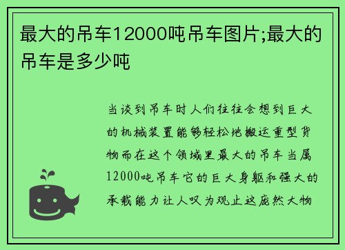 最大的吊车12000吨吊车图片;最大的吊车是多少吨